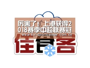 厉害了!上港获得2018赛季中超联赛冠军 表现无懈可击|开云体育官网(图2) 开云体育官方入口