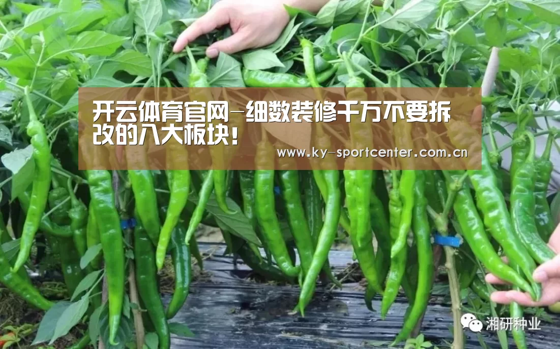 开云体育官网-细数装修千万不要拆改的八大板块!(图4) 开云体育官网