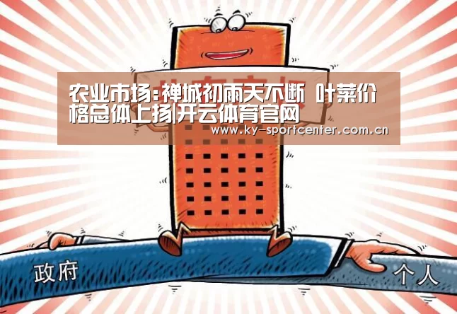 农业市场:禅城初雨天不断 叶菜价格总体上扬|开云体育官网(图3) 开云官方网站
