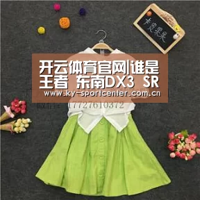 开云体育官网|谁是王者 东南DX3 SRG北京试驾会燃擎开启