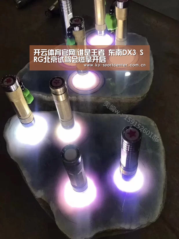 开云体育官网|谁是王者 东南DX3 SRG北京试驾会燃擎开启(图2) 开云官方网站