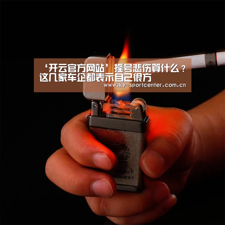 开云体育官网