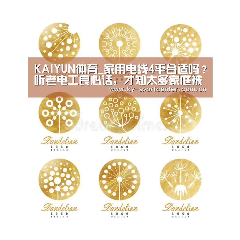 KAIYUN体育_家用电线4平合适吗?听老电工良心话,才知太多家庭被坑了(图2) 开云体育官方入口