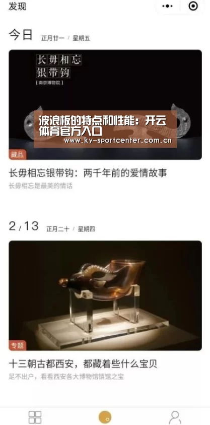 波浪板的特点和性能:开云体育官方入口(图2) 开云体育官网