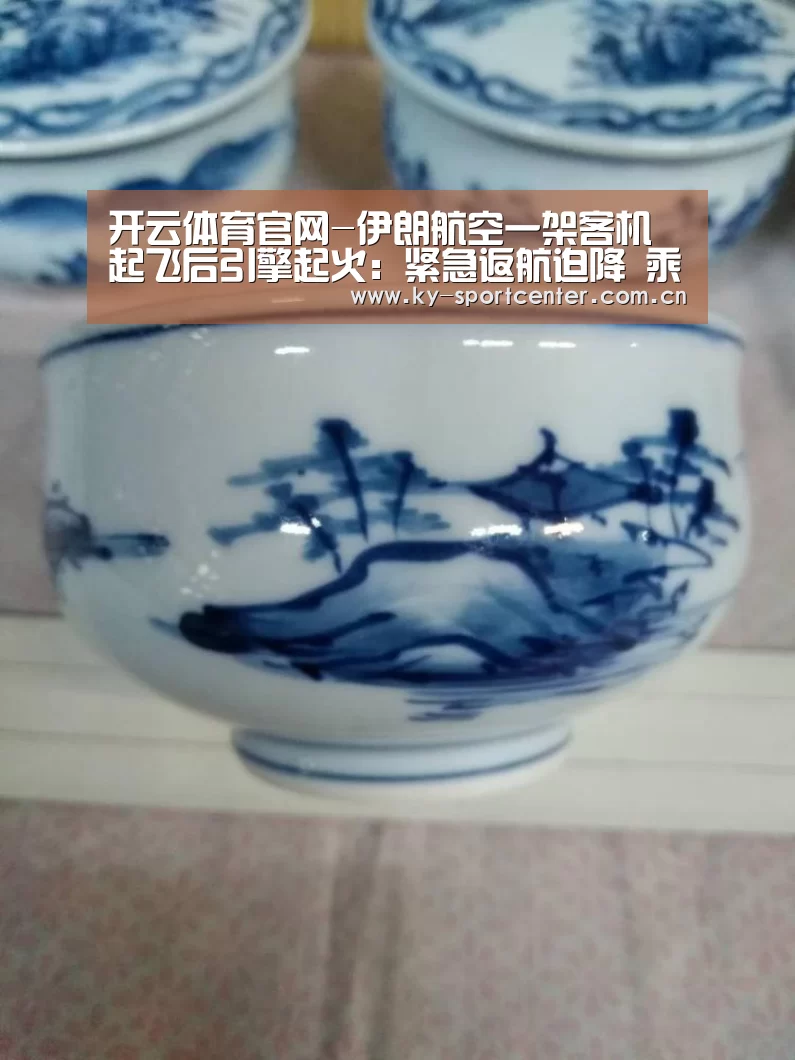 开云体育官网-伊朗航空一架客机起飞后引擎起火:紧急返航迫降 乘客平安