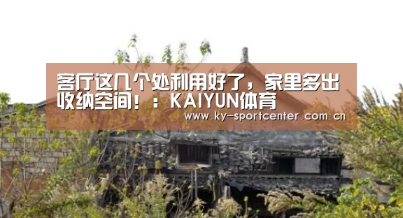 客厅这几个处利用好了,家里多出收纳空间!:KAIYUN体育