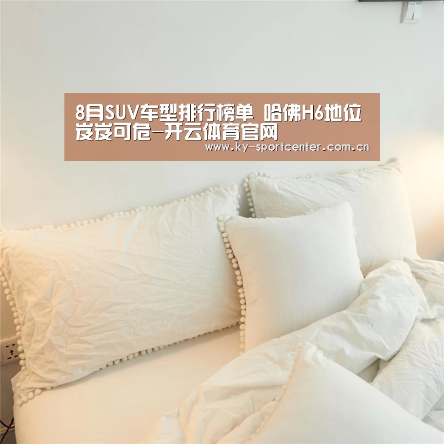 8月SUV车型排行榜单 哈佛H6地位岌岌可危-开云体育官网(图3) 开云官方网站