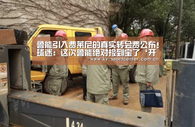 鲁能引入费莱尼的真实转会费公布!球迷:这次鲁能绝对捡到宝了‘开云体育官方入口’(图2) KAIYUN体育