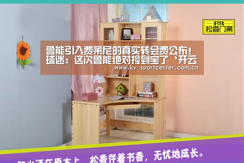鲁能引入费莱尼的真实转会费公布!球迷:这次鲁能绝对捡到宝了‘开云体育官方入口’