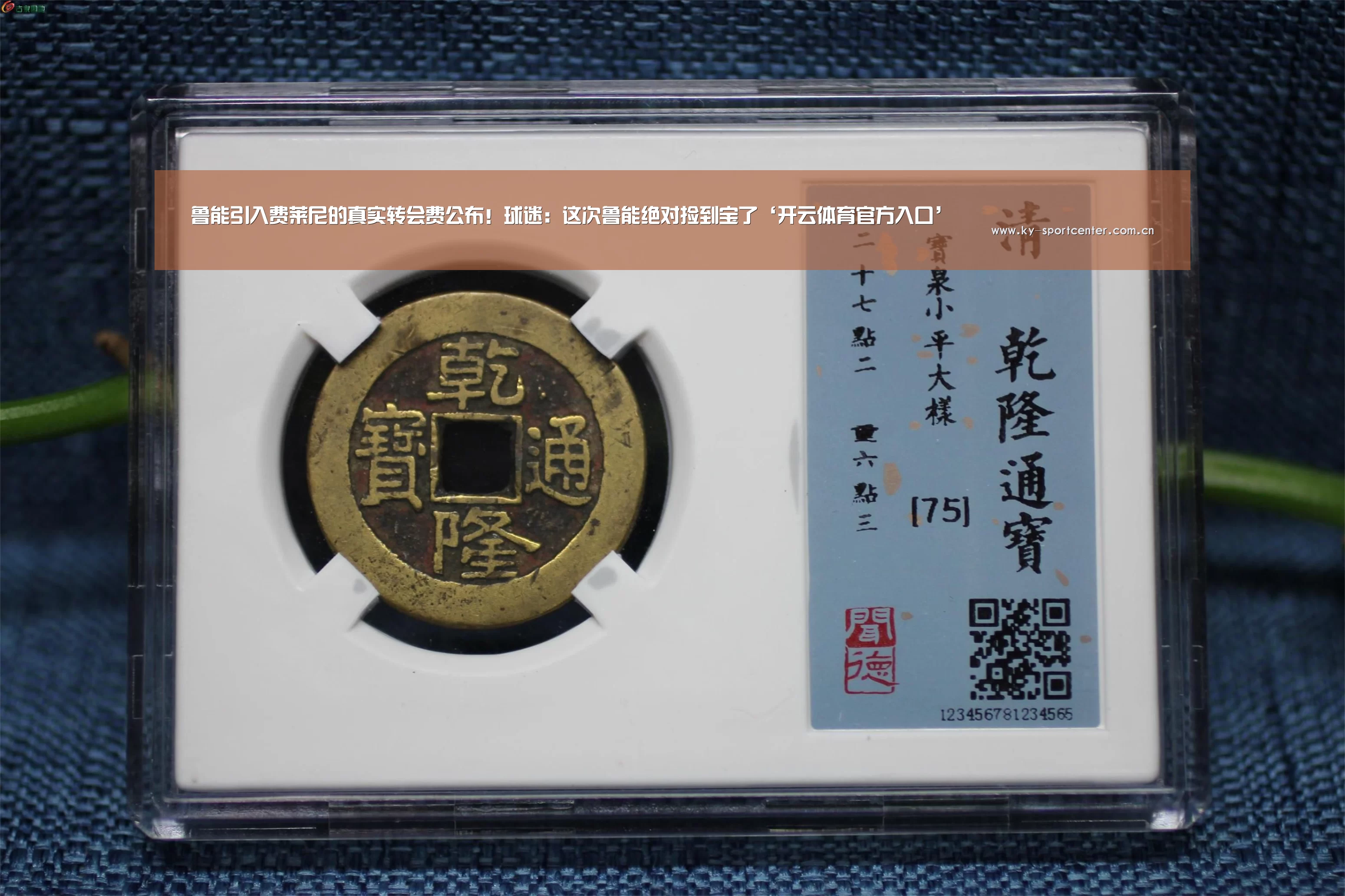 鲁能引入费莱尼的真实转会费公布!球迷:这次鲁能绝对捡到宝了‘开云体育官方入口’(图4) 开云官方网站