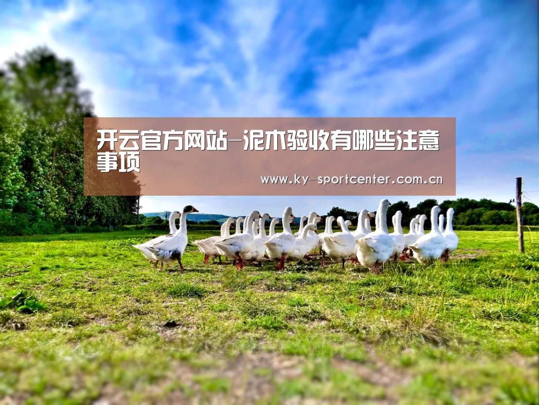 开云官方网站-泥木验收有哪些注意事项