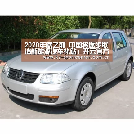 2020年底之前 中国将逐步取消新能源汽车补贴:开云官方网站