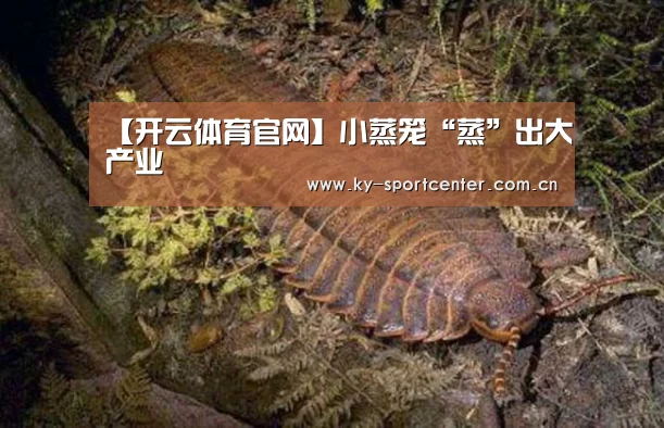 【开云体育官网】小蒸笼“蒸”出大产业(图2) 开云官方网站