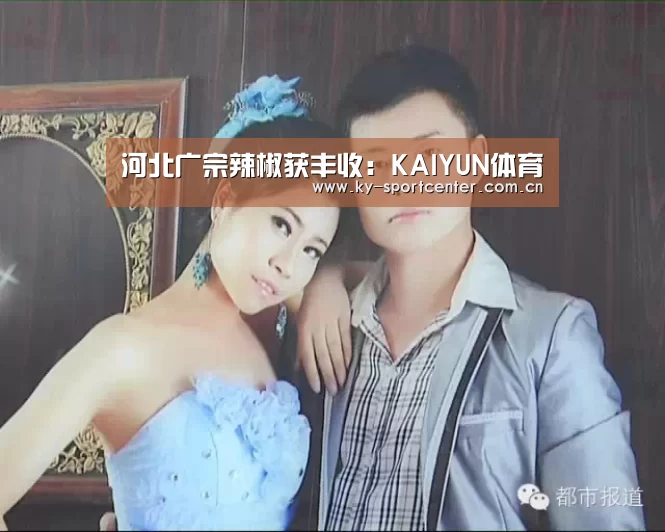 河北广宗辣椒获丰收:KAIYUN体育(图1) KAIYUN体育