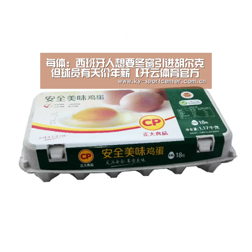 每体:西班牙人想要冬窗引进胡尔克 但球员有天价年薪【开云体育官方入口】